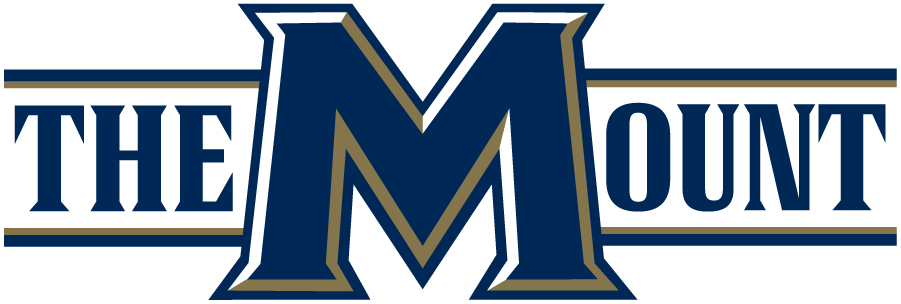 Mount St. Marys Mountaineers 2016-Pres Wordmark Logo t shirts iron on transfers